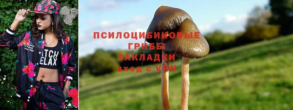 PSILOCYBIN Переславль-Залесский