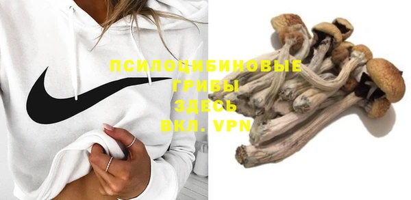 PSILOCYBIN Переславль-Залесский