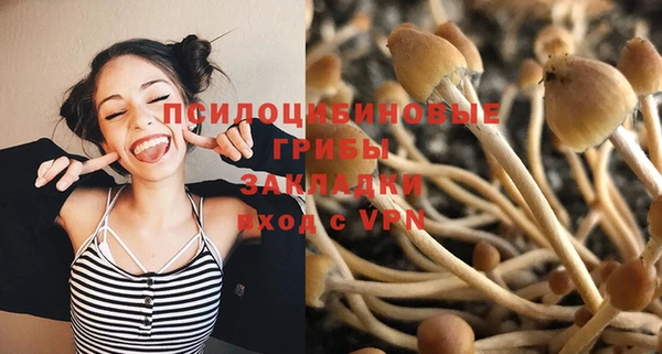 PSILOCYBIN Переславль-Залесский