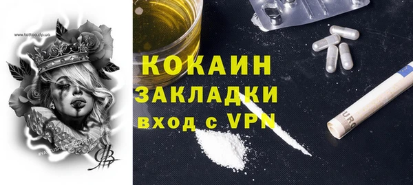 PSILOCYBIN Переславль-Залесский
