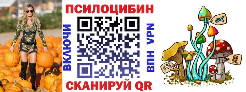даркнет клад Усолье Псилоцибиновые грибы Magic Shrooms